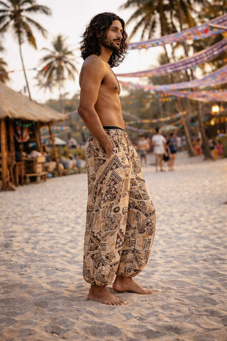 Ved Harem Pant