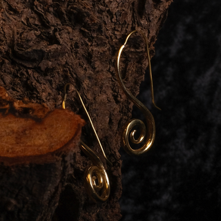 Spiral Earrings