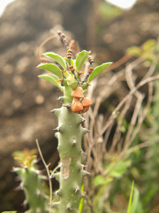 Grove Pendant