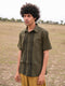 Dung green
